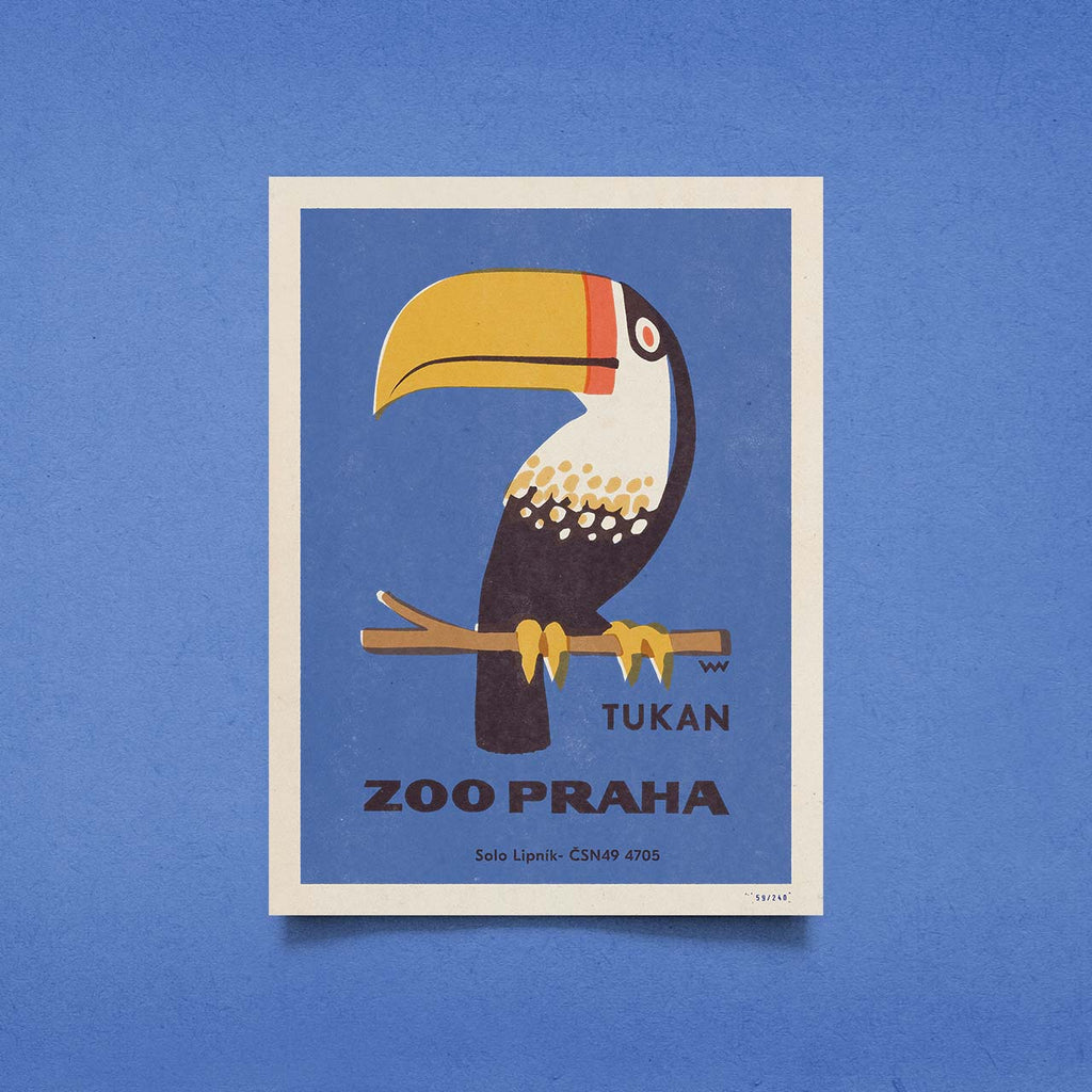 Zoo Praha - Tukan