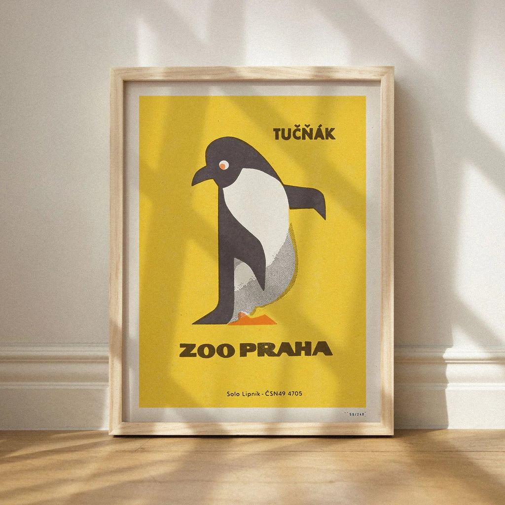 Zoo Praha - Penguin - Tučňák
