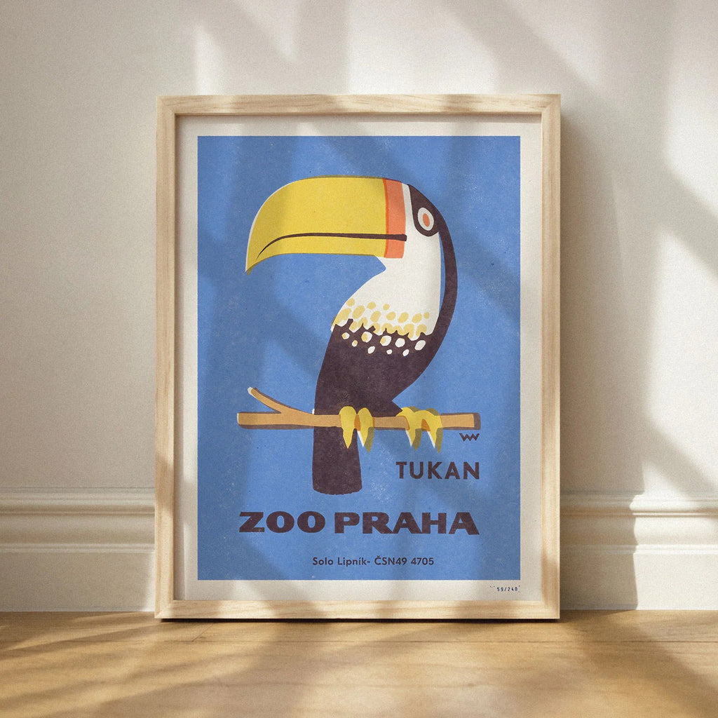 Zoo Praha - Tukan